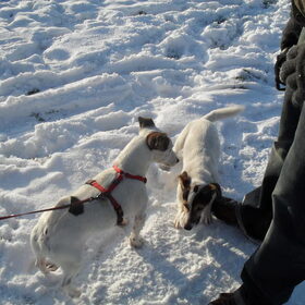 Melo en een andere Jack.