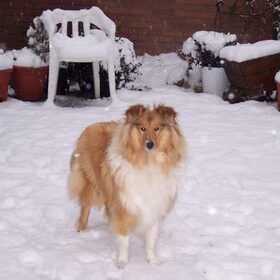Lekker spelen in de sneeuw