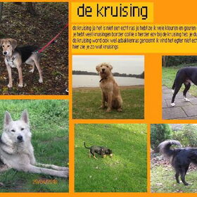 de kruising poster eindelijk klaar