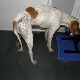 heel erg vies