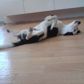 even zonnen in huis!