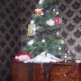 de kerstboom veilig