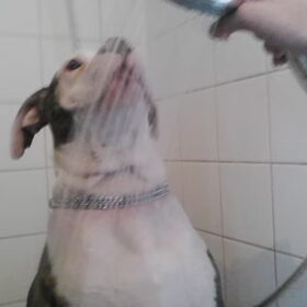 chika 1e keer douche