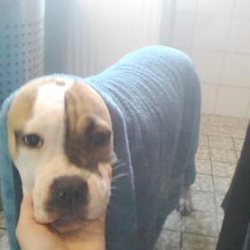 lady afdrogen na 1e keer douche