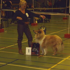 Op de show met Flynn geplaatst als nummer 1