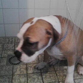lady 1e keer douche