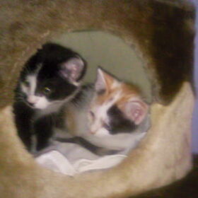 Hondenfoto van ~~Michelle&Mushu~~