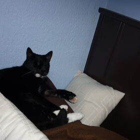 Hondenfoto van ~~Michelle&Mushu~~