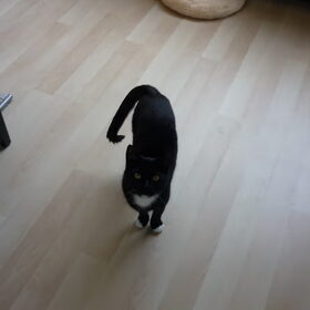 Hondenfoto van ~~Michelle&Mushu~~