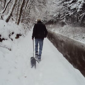 met robin wandelen in de sneeuw