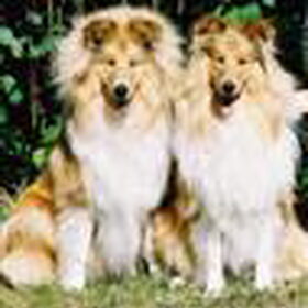 Flynn en Luna met 9 maanden