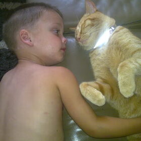 joey met simba