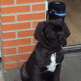 en lief uiteraard