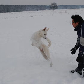 Voor wat sneeuw wring ik me in allerlei bochten