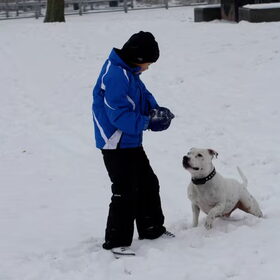 Hondenfoto van alex en lady