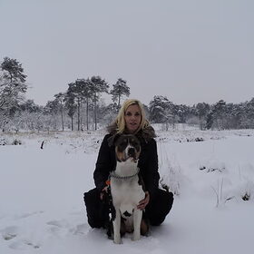 Hondenfoto van *marieke&bento*