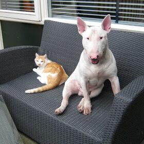 Ajay & Oliver