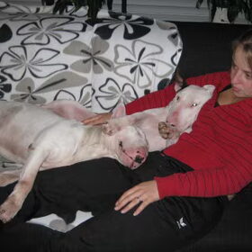Samen bankhangen