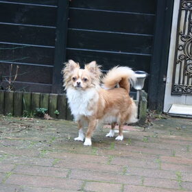Lekker in de tuin