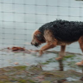 lekker door het water lopen.