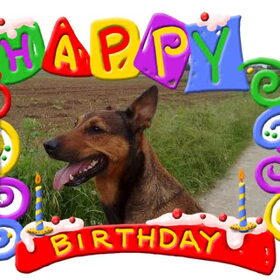 Happy birthday