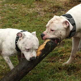 Samen delen samen spelen