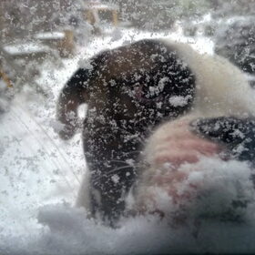 sneeuwhappen van de vensterbank!! (8 maanden oud)