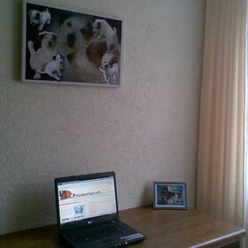 Mijn mooie collage eindelijk aan de muur