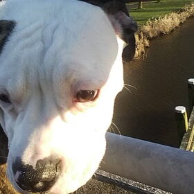 het was mooi weer dus meteen vet mooie foto`s gemaakt ben er…