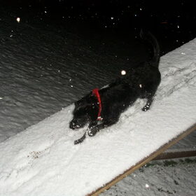 Zelfs in de sneeuw lekker kunstjes doen!
