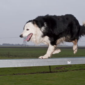 Twister van Gea