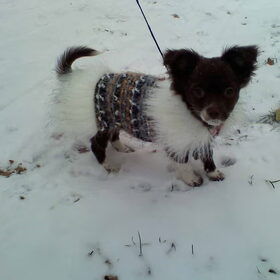 Bibi in de sneeuw met der bontjasjes.