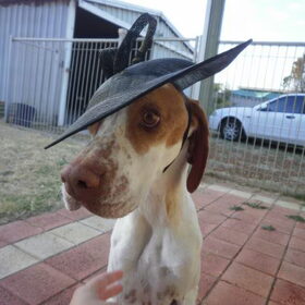 my pretty... pretty princess Jessie