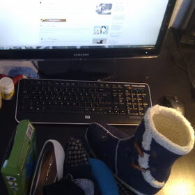 Hondenfoto van Eef en Tjibbe