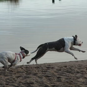 Lady en BO in vol speed