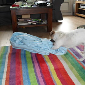 Spelen.