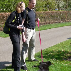 Hondenfoto van Eef en Tjibbe