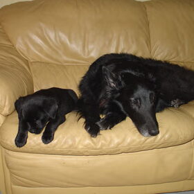 Samen met mijn grote broer Nappie van 11 jaar.