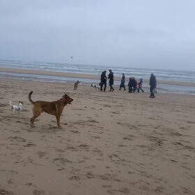 Hondenfoto van patricia,  *Spikey* Nino & Lola
