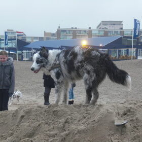 HP standwandeling 23 januari (5)