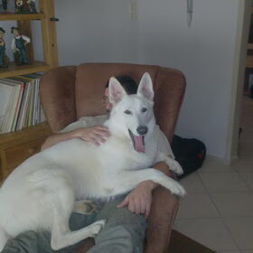 Even lekker op schoot