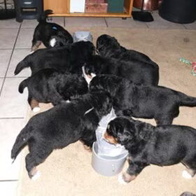 In de woonkamer, samen eten. Hier ben ik al 4 weken.