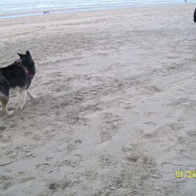 zandvoort met hp