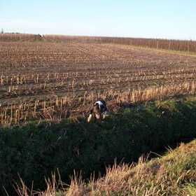 januari 2011 .. ja hoor springen maar!