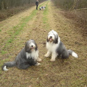 Strike a pose!