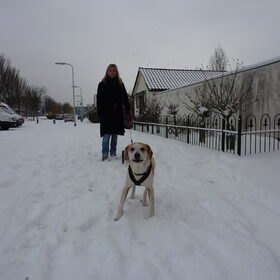 En hier is het totaal andere hond: