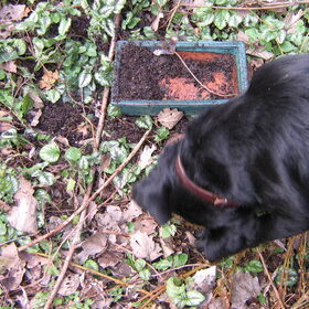 Pépé in de tuin 14