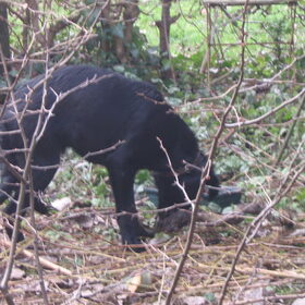 Pépé in de tuin 15