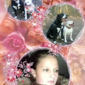 Hondenfoto van Lady,,,Melissa,,,Rocco