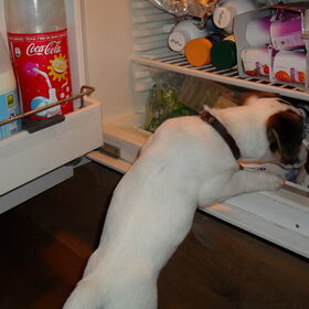 Wat zit hier in???